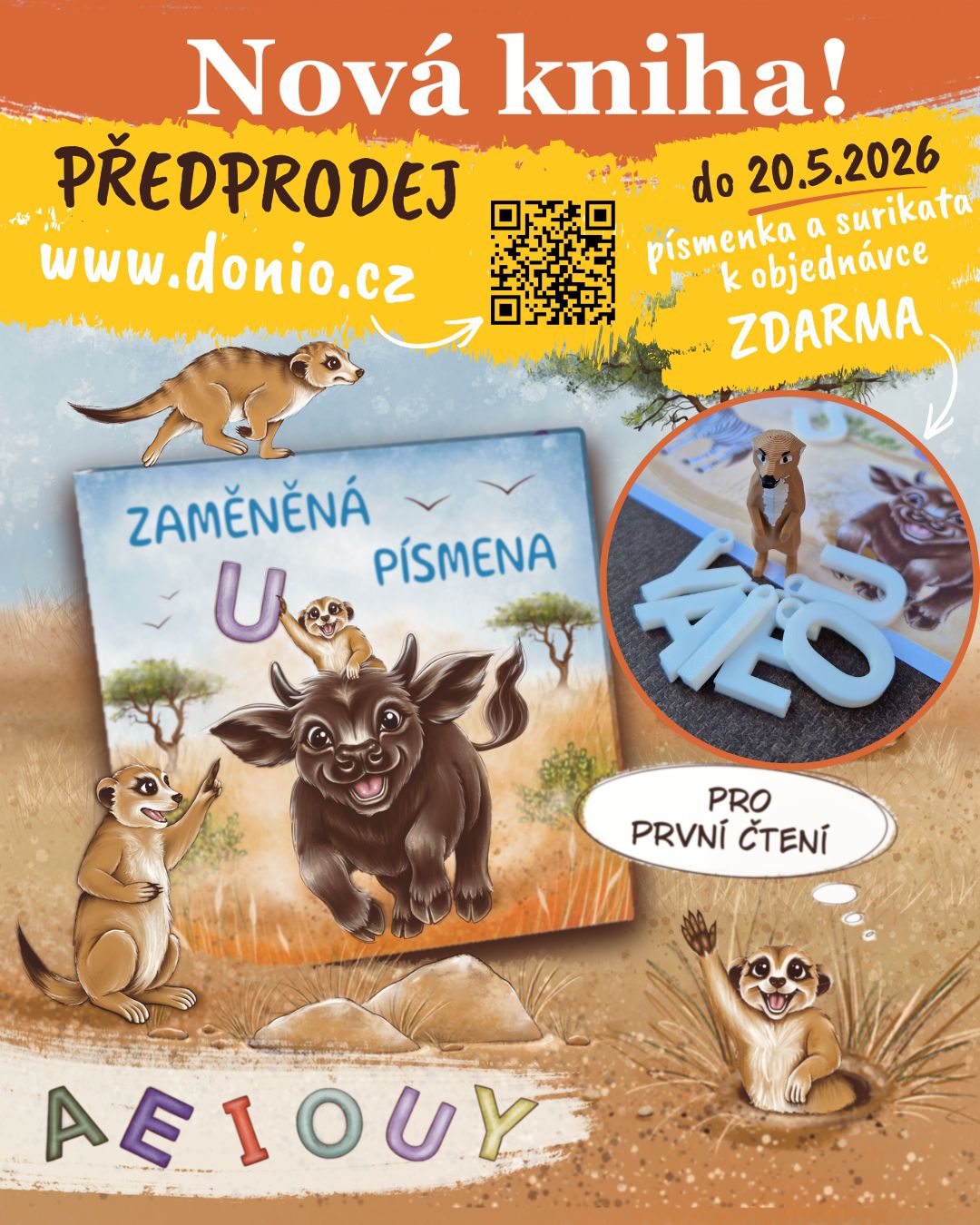 Předprodej knihy Zaměněná písmena